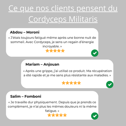 Cordyceps Militaris Longrich