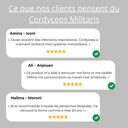 Cordyceps Militaris Longrich